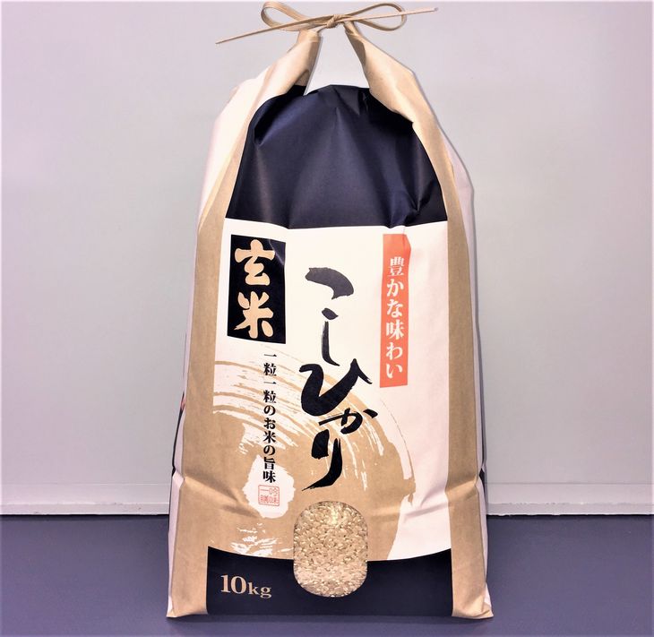 石川県能登産こしひかり玄米10kg（10kg×1袋）※令和4年10月下旬より順次発送