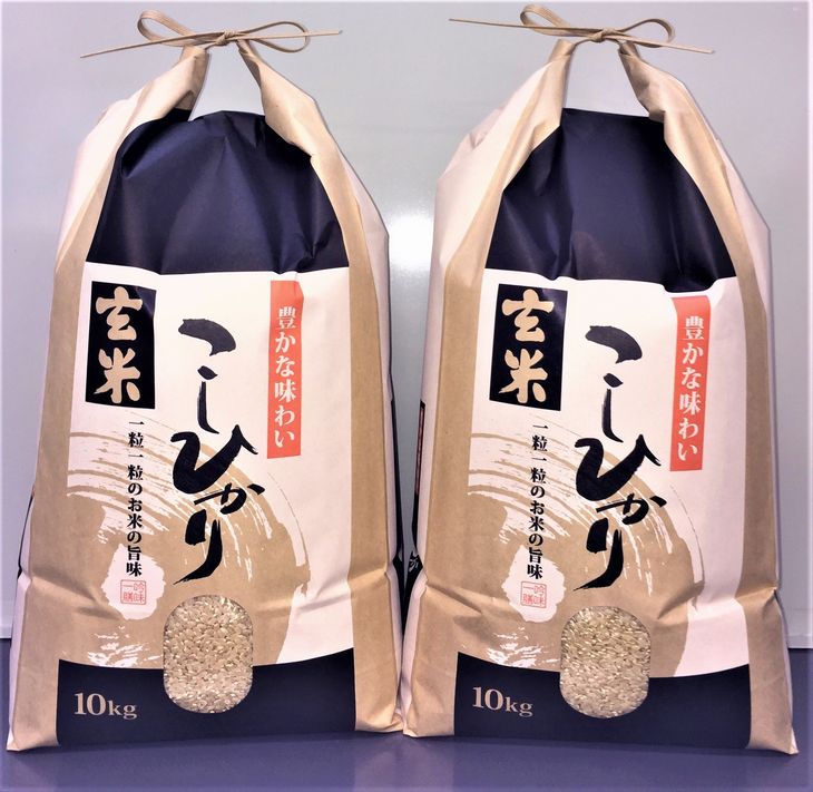 石川県能登産こしひかり玄米20kg（10kg×2袋）　※令和4年10月下旬より順次発送