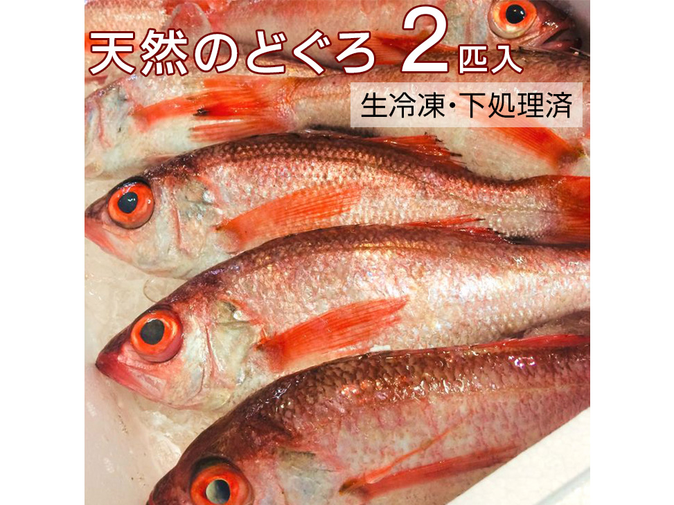 天然のどぐろ 2匹入（大サイズ）　生冷凍・下処理済≪魚 新鮮 高級魚 真空≫ 