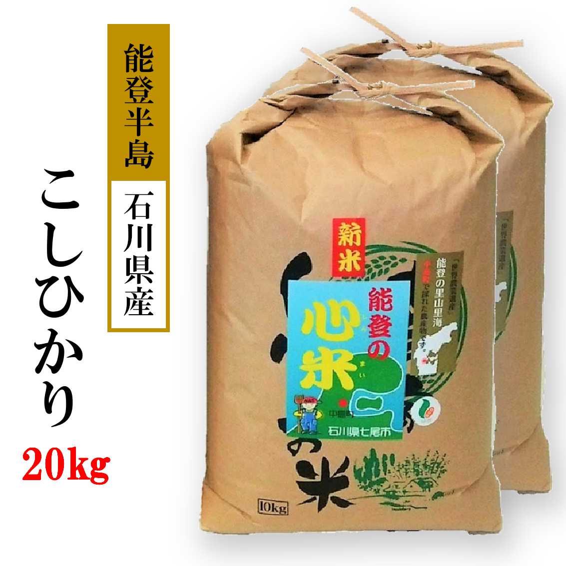 米 20kg/こしひかり　能登の心米（精米20kg）10kg×2袋 コシヒカリ 米　※令和4年10月中旬より発送