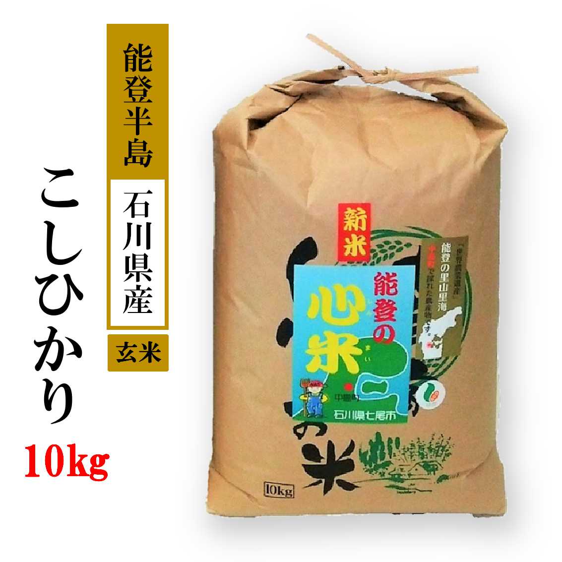 米 玄米 10kg / こしひかり 能登の心米（玄米10kg）/10kg×1袋　※2024年10月中旬頃より順次発送予定