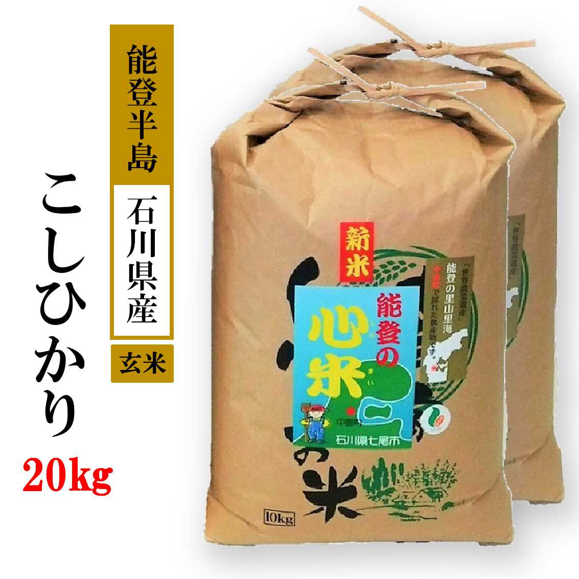 米 20kg/こしひかり 能登の心米（玄米20kg）/10kg×2袋 ※令和4年10月中旬より発送